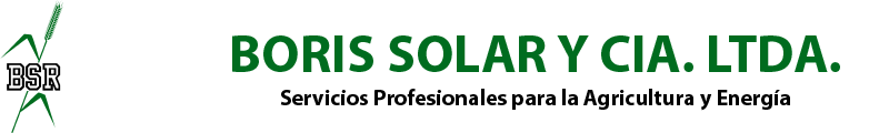 BORIS SOLAR y CIA. LTDA.